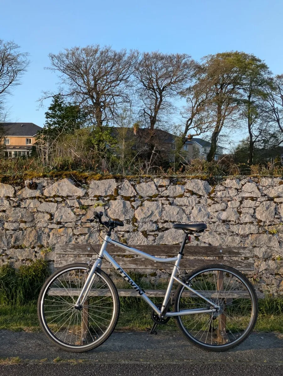 RIVERSIDE Hybrid Bike Grey - 120 Series - Image 3