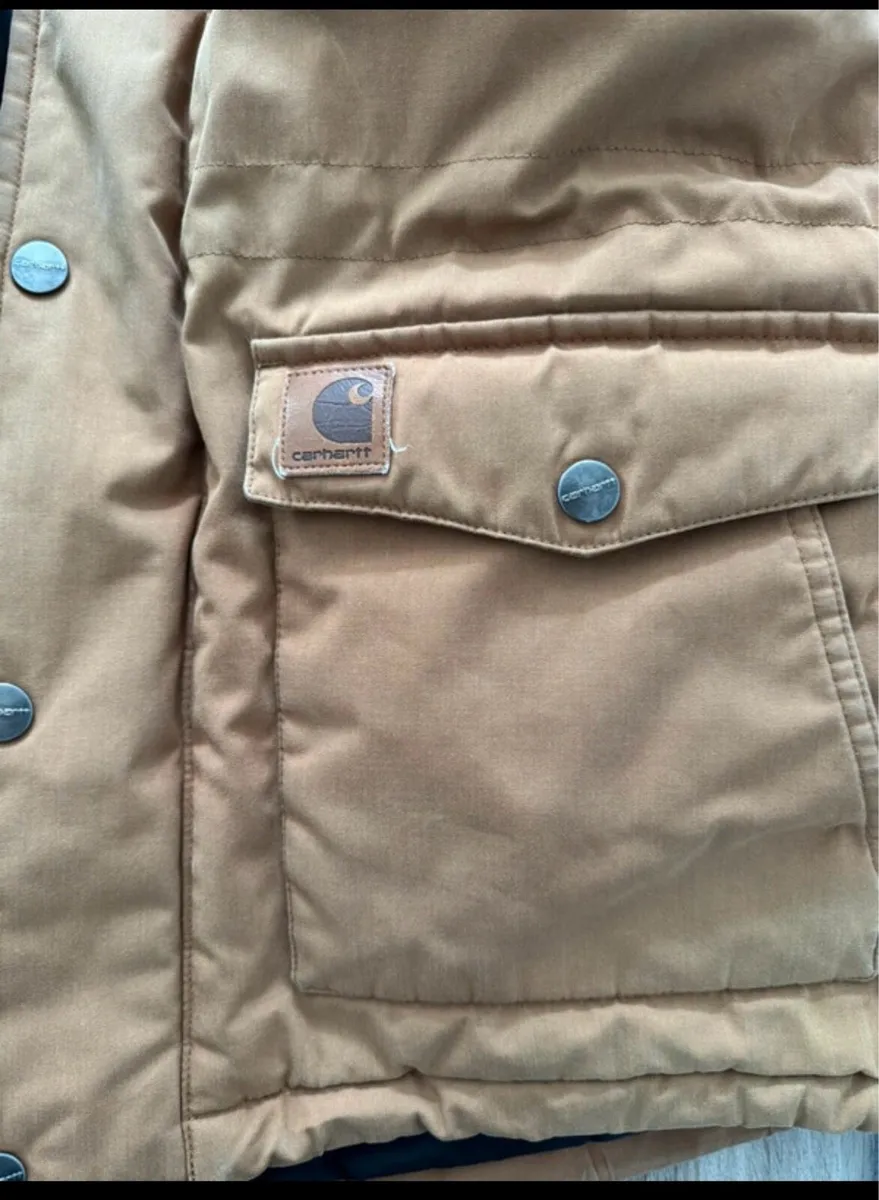 Manteau Carhartt Trapper Parka - Image 3
