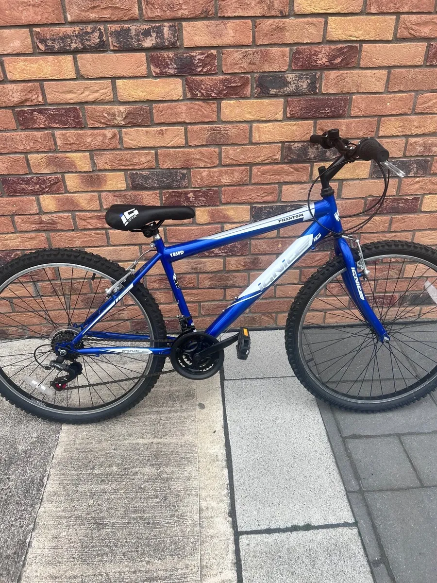 Girls Bike - Image 1
