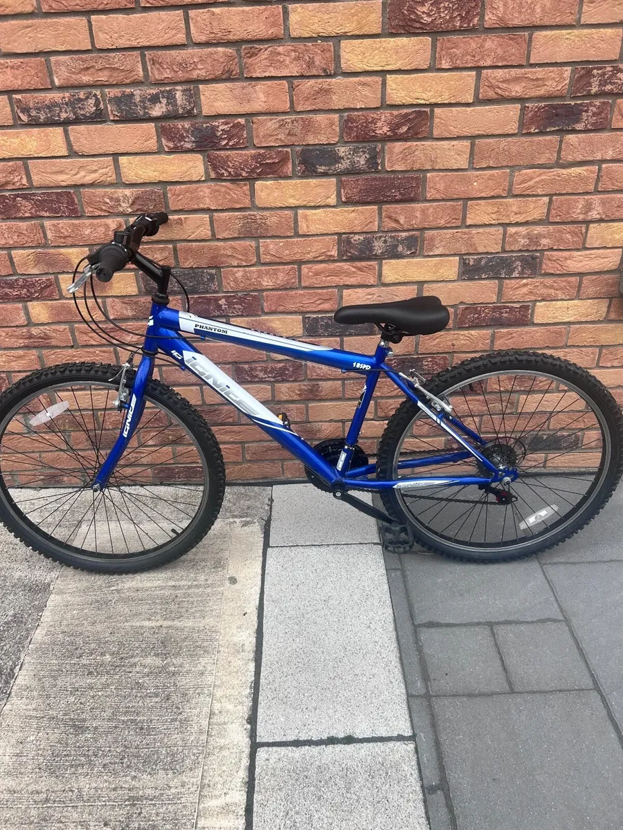 Girls Bike - Image 3