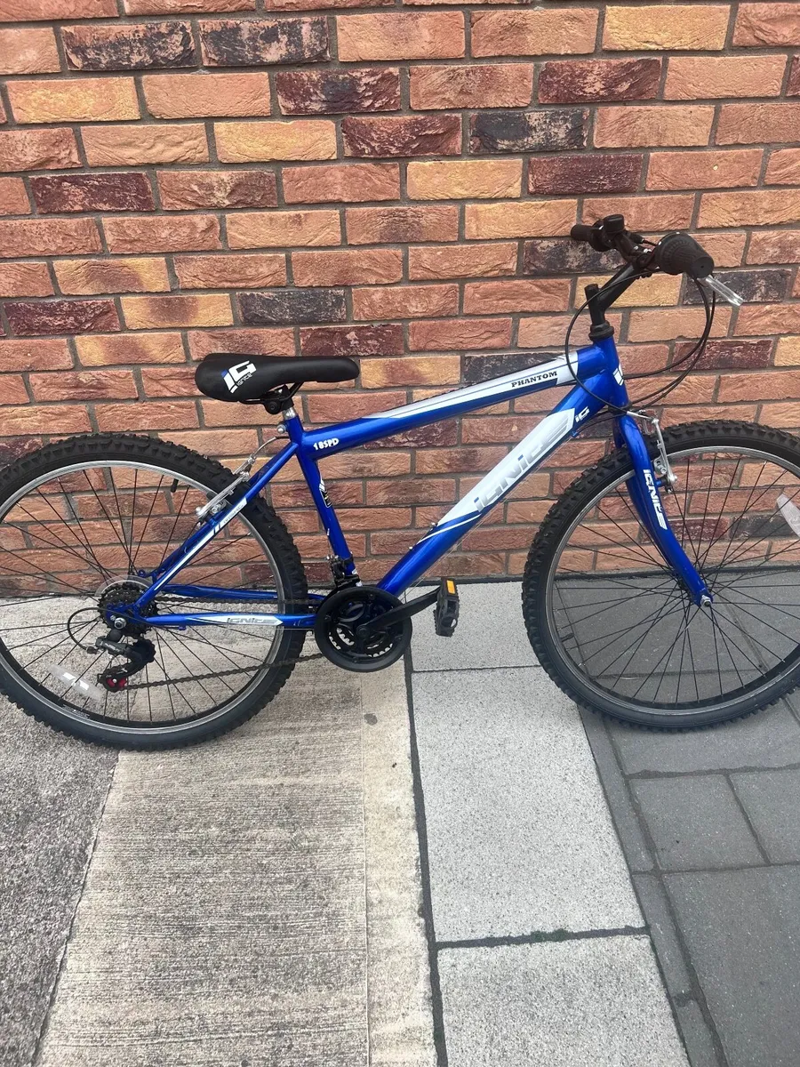Girls Bike - Image 4
