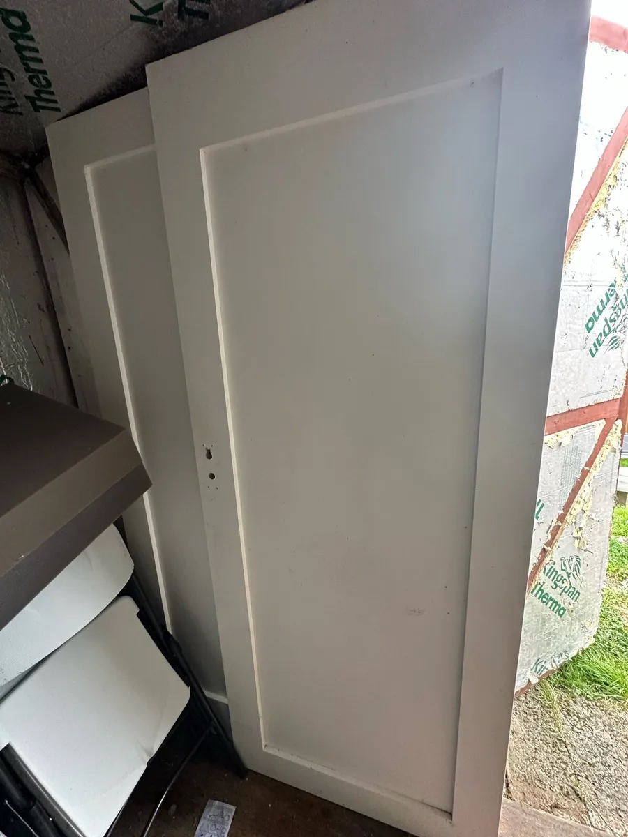 Free Internal door - Image 1