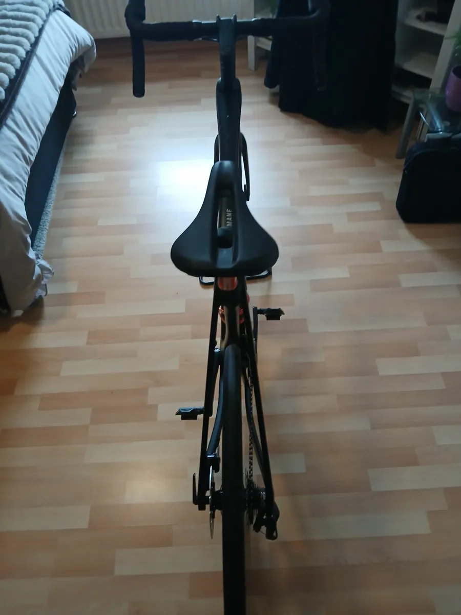 Trek Domane - Image 2