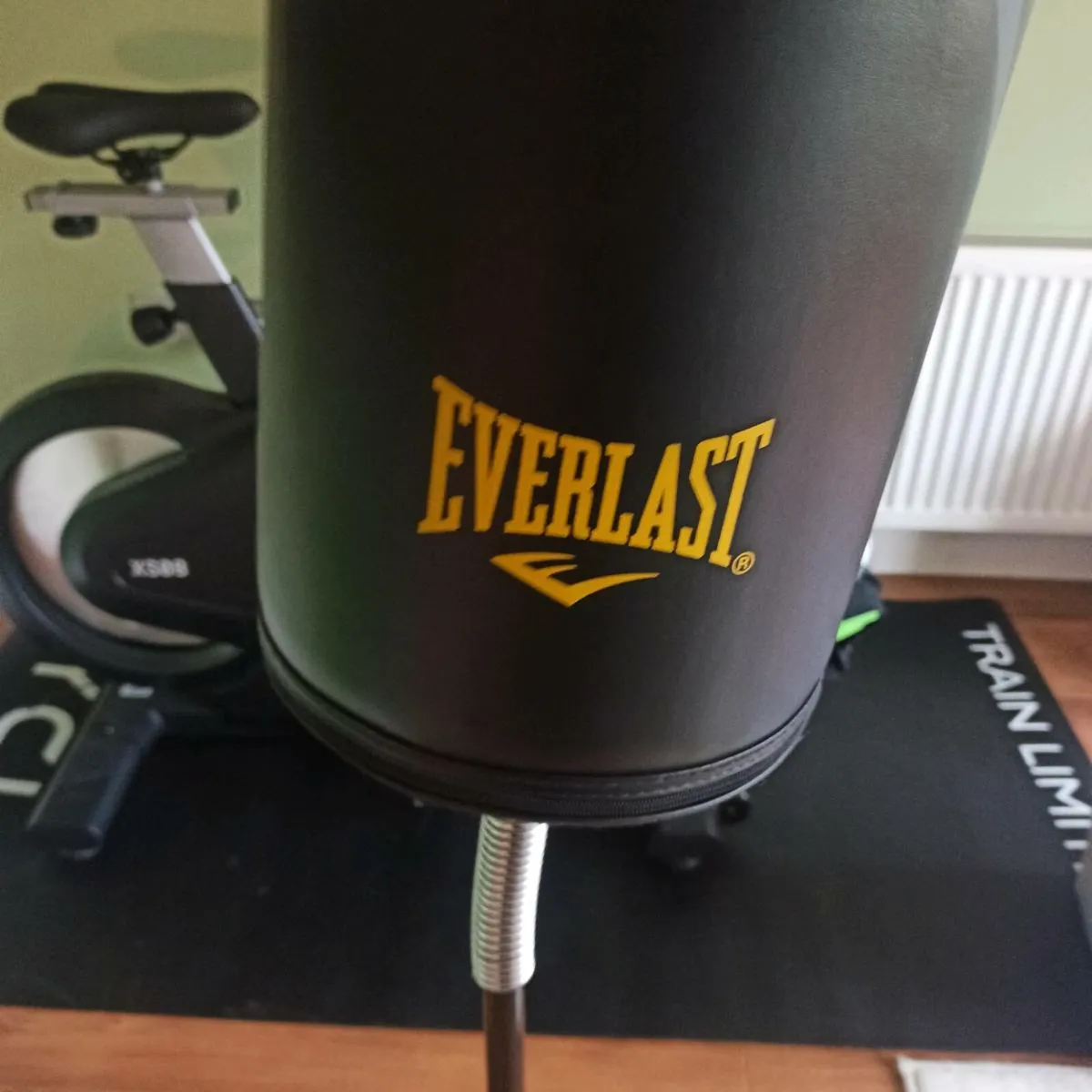 Punching Bag - Image 1