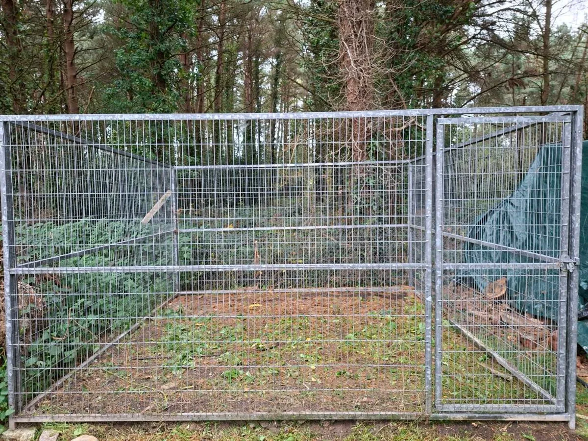 12ft x 12ft x 6ft Heavy-Duty Galvanised Dog Pen - Image 1