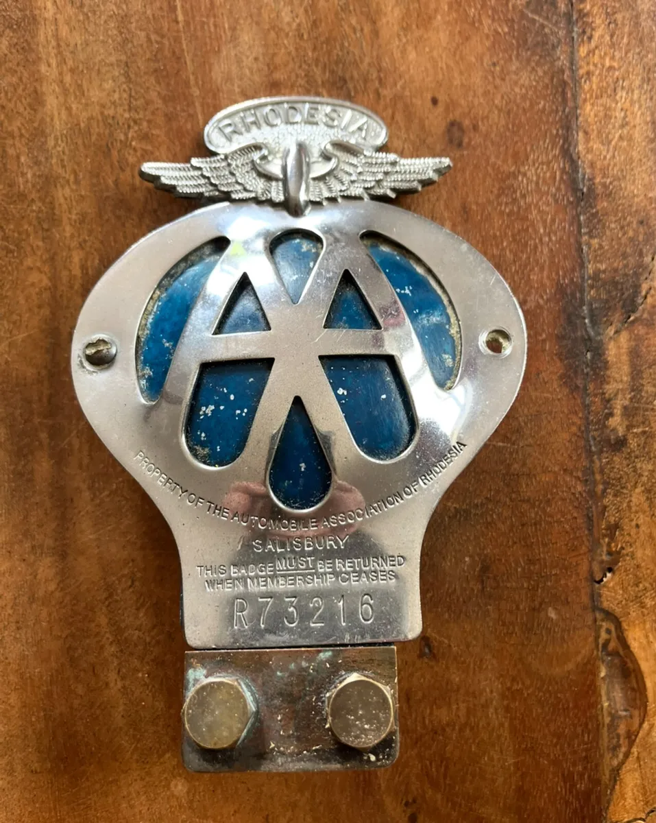 Vintage AA Badge - Image 1