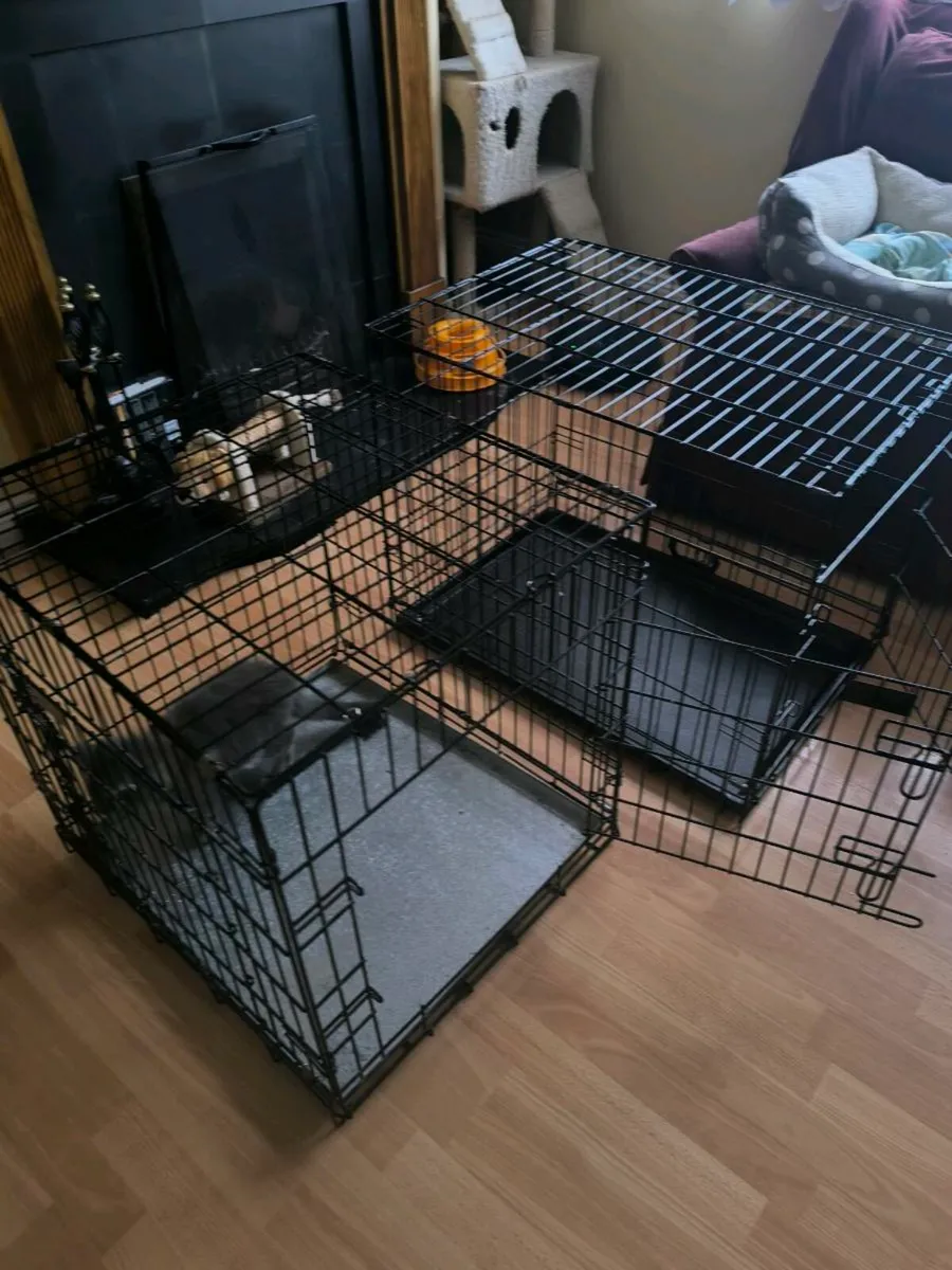 Dog crates for sale - Image 1