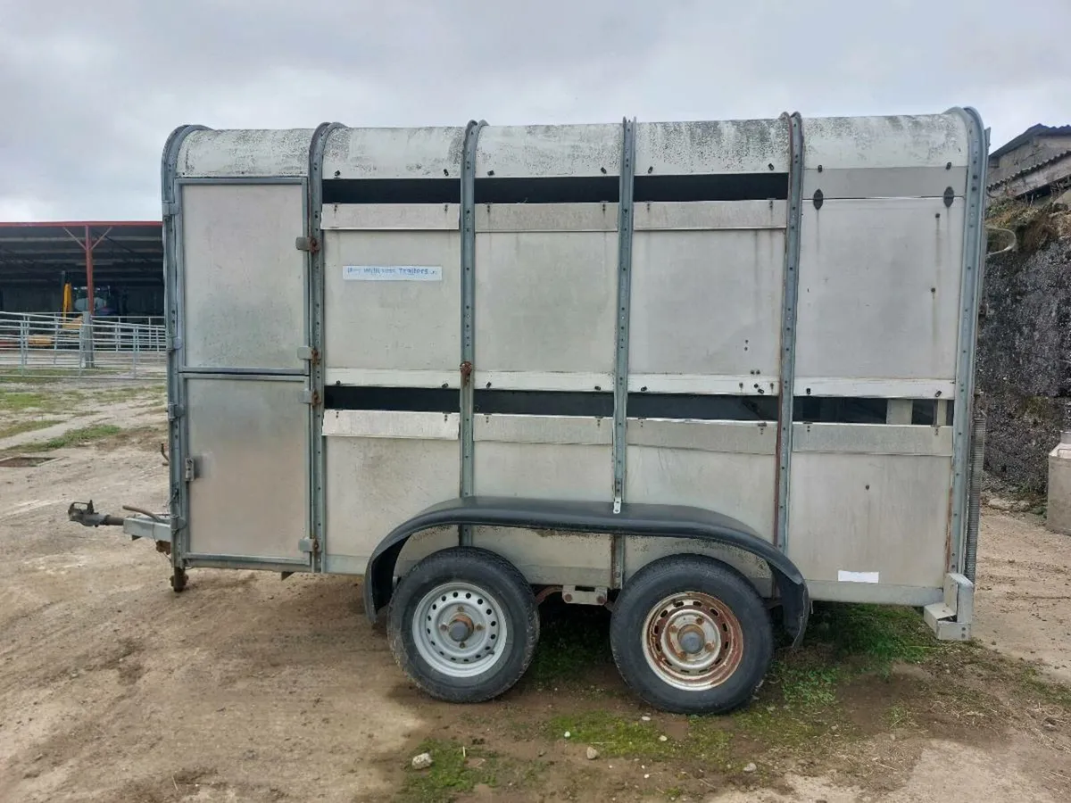 Ifor Williams Cowbox 10 x5 - Image 1