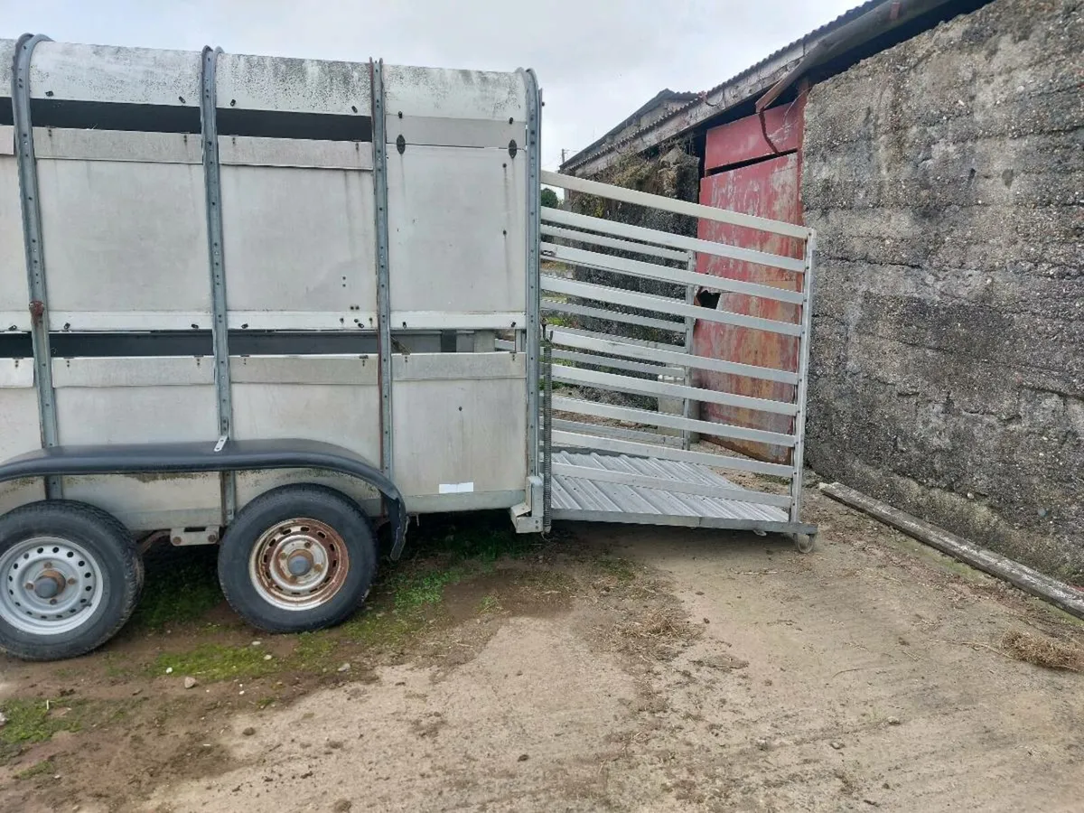 Ifor Williams Cowbox 10 x5 - Image 3