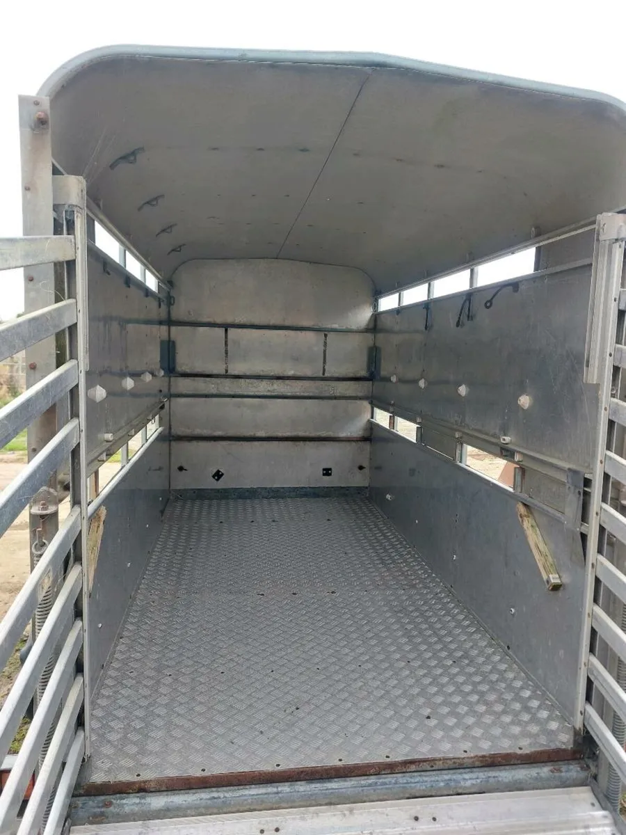 Ifor Williams Cowbox 10 x5 - Image 4