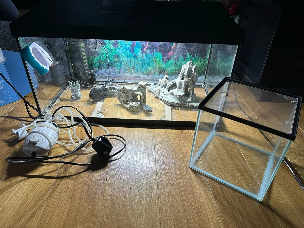 Fish tank - Image 2