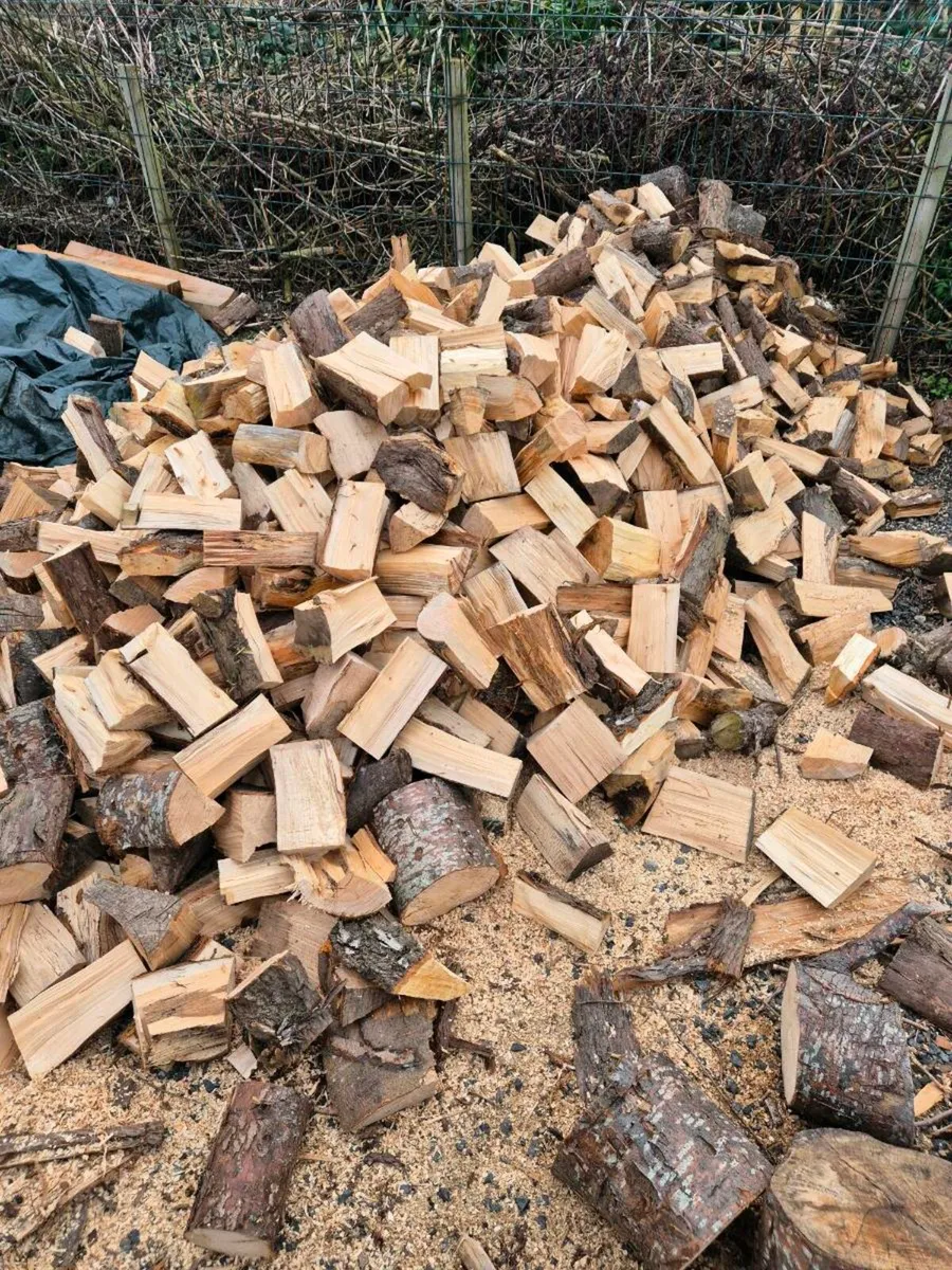 Firewood - Image 1