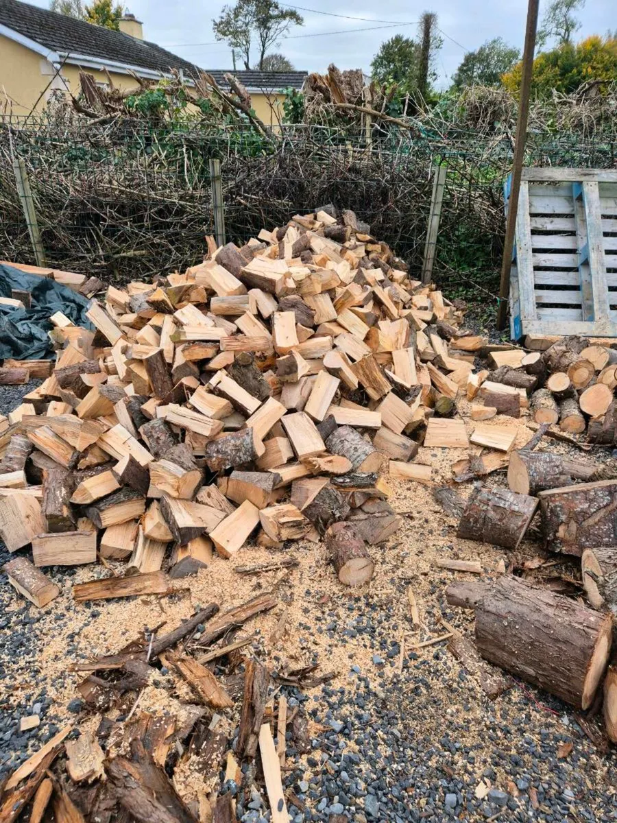 Firewood - Image 2