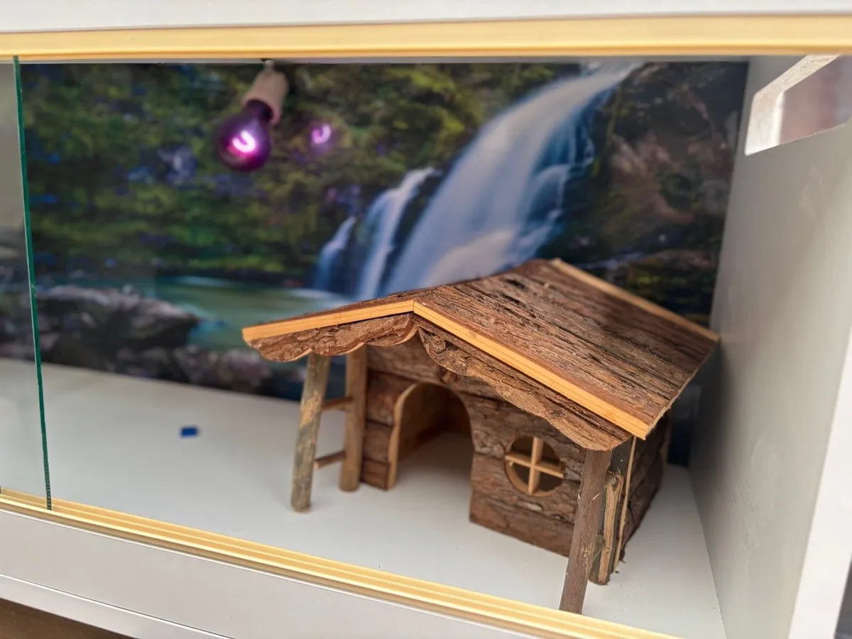 Hedgehog/Reptile Vivarium - Image 3