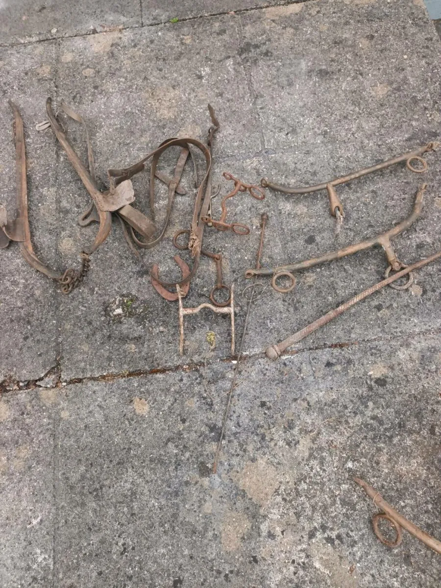 Miscellaneous Vintage Horse Paraphernalia - Image 1