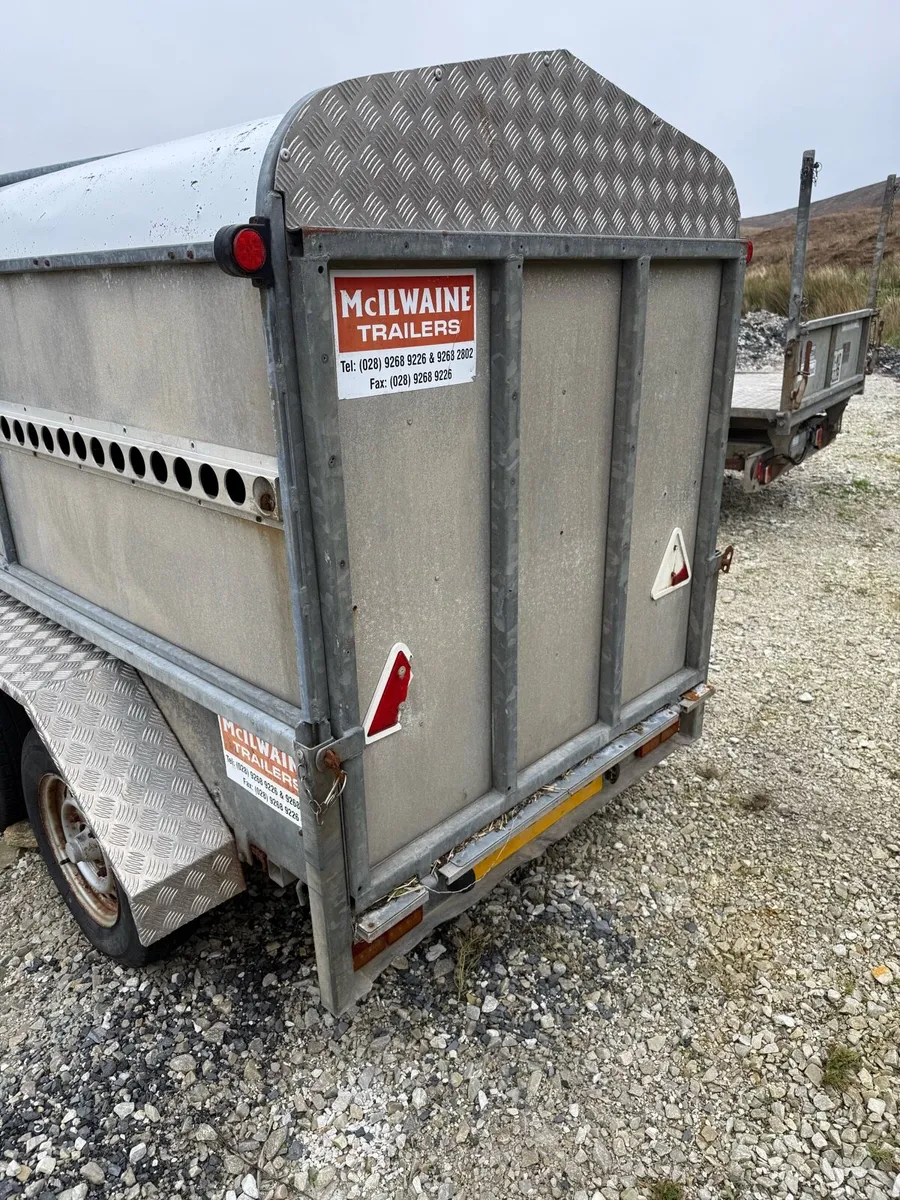 Sheep trailer - Image 1