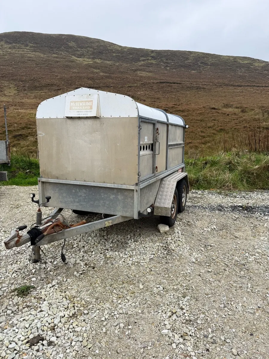 Sheep trailer - Image 3