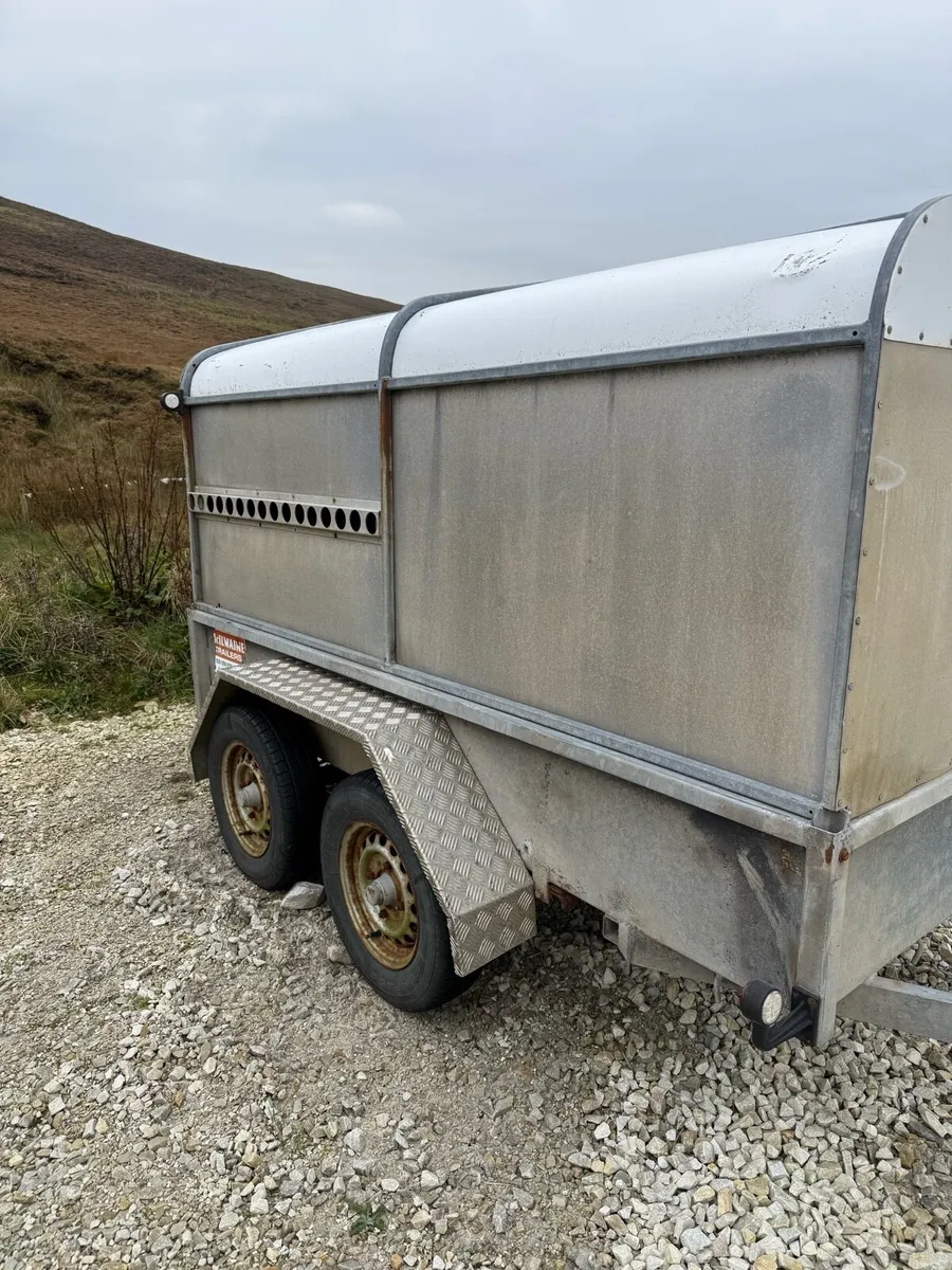 Sheep trailer - Image 4