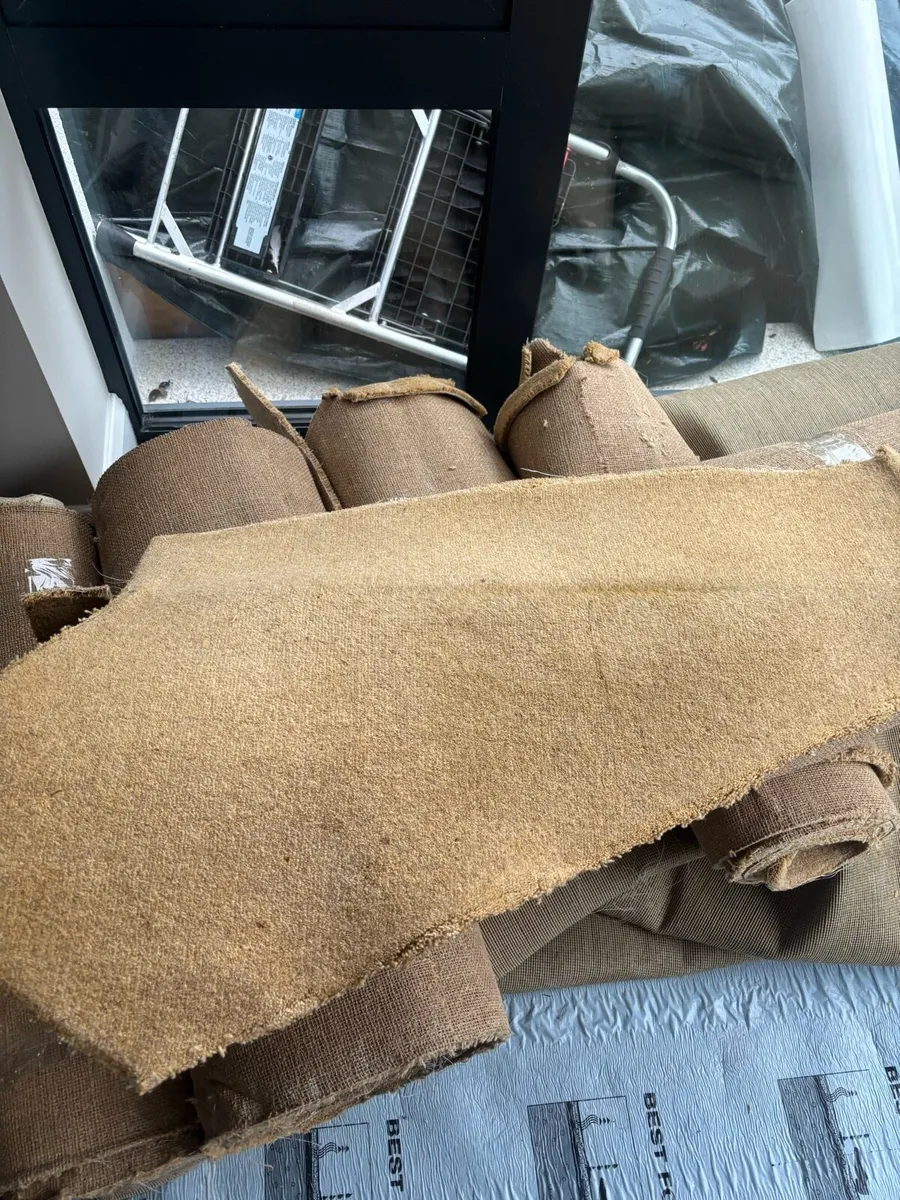 Carpet - Image 1