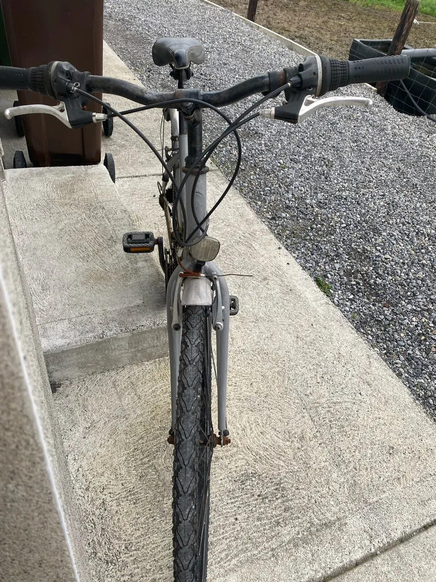 Bicycle - Image 4