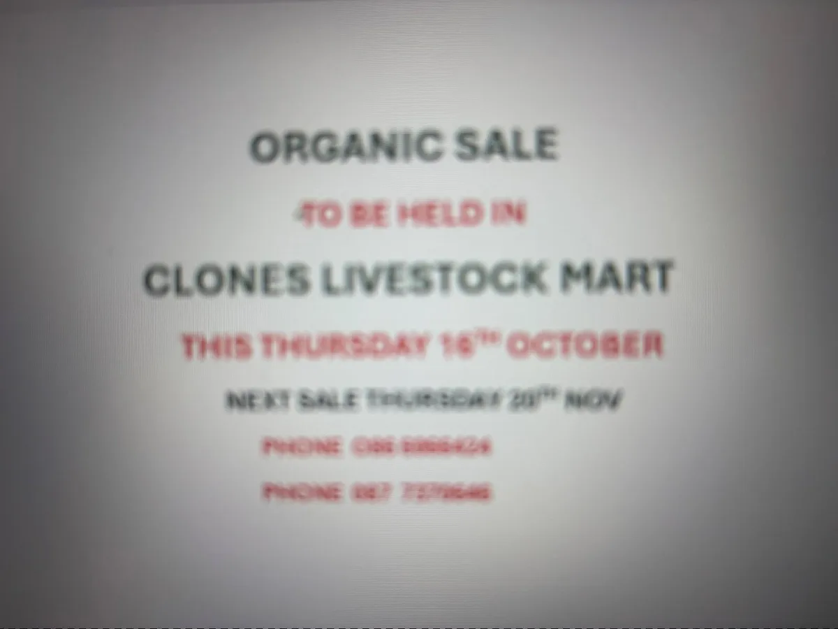 🐂🐂ORGANIC SALE CLONES MART🐂🐂 - Image 3