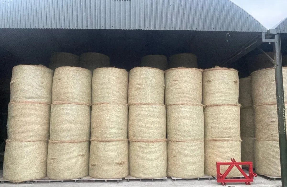 Hay - Image 1