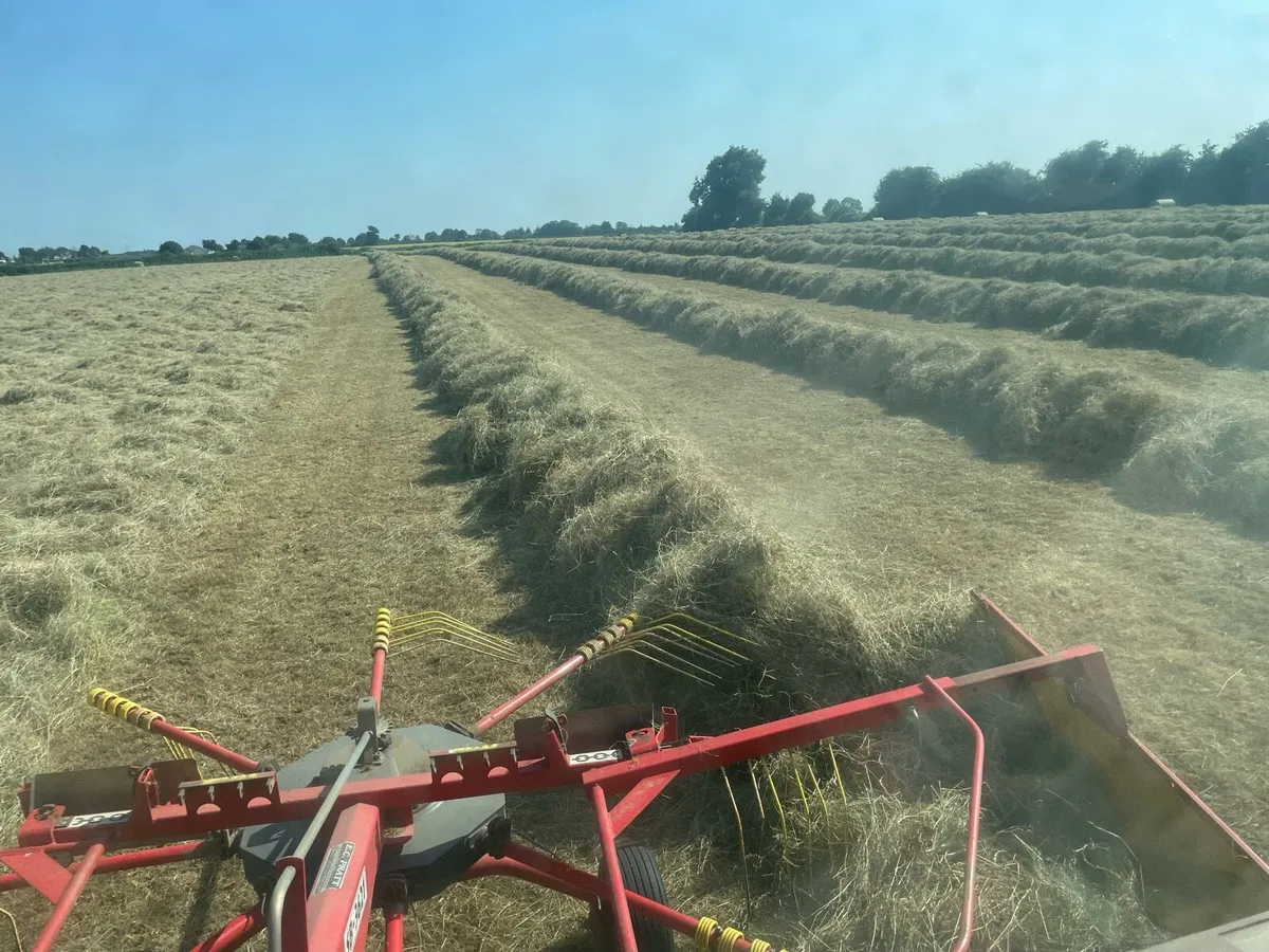 Hay - Image 2