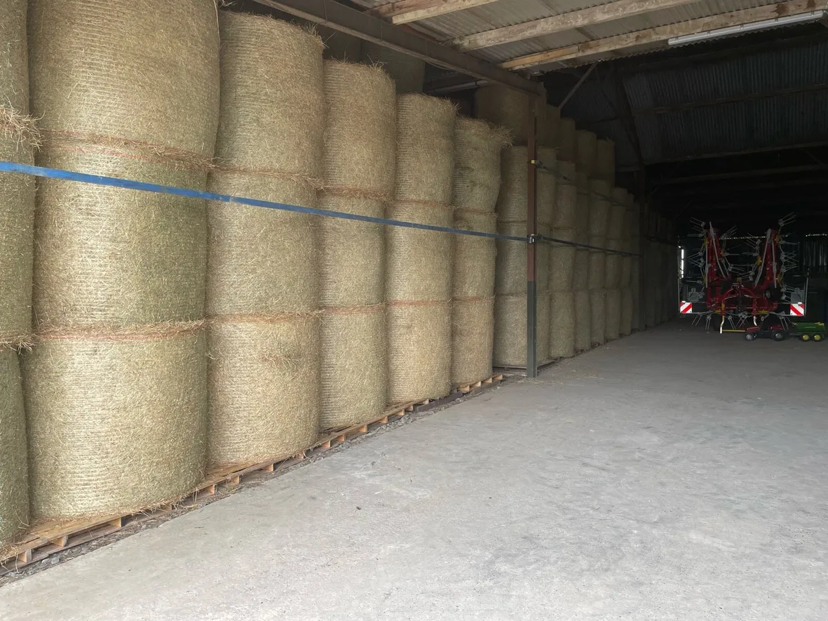 Hay - Image 3