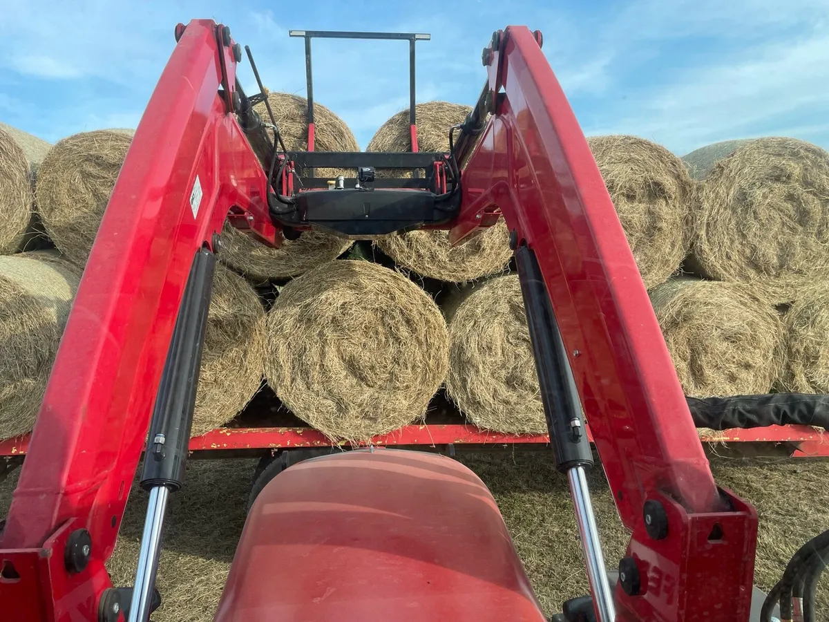 Hay - Image 4