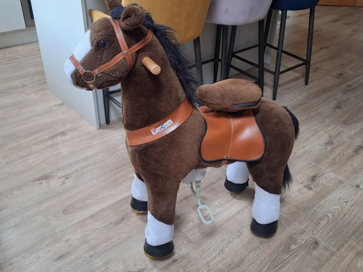 PonyCycle for sale - Image 1