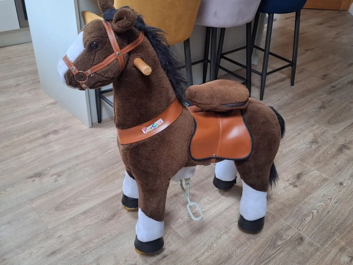 PonyCycle for sale - Image 2