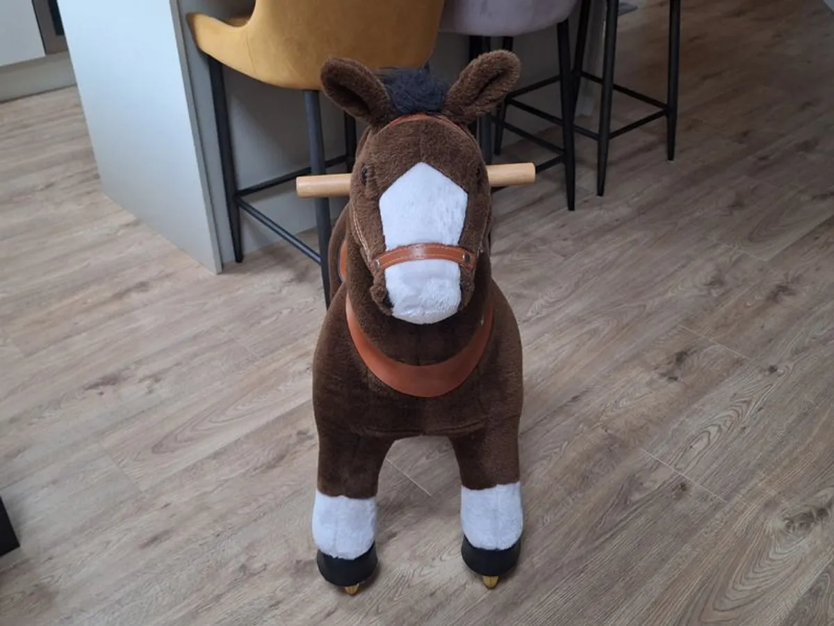 PonyCycle for sale - Image 3
