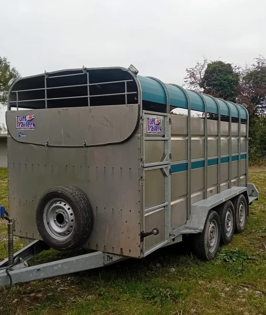 14 x 6 TuffMac Cattle Box - Image 3