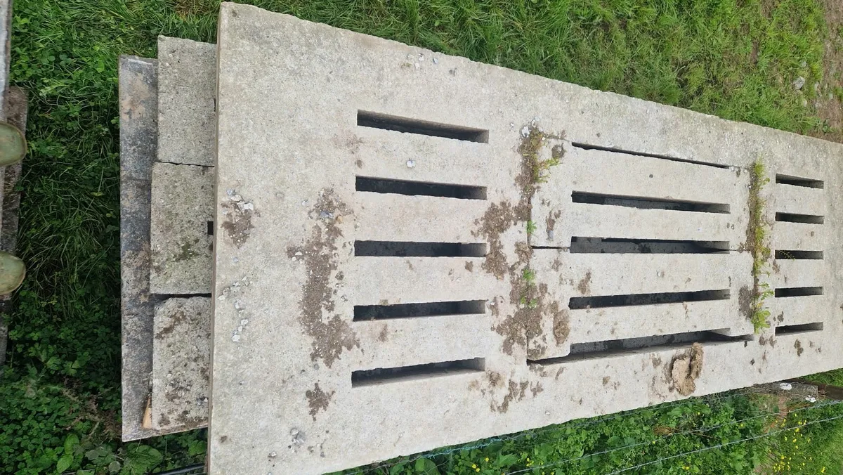 Cattle Gang Slats - Image 2