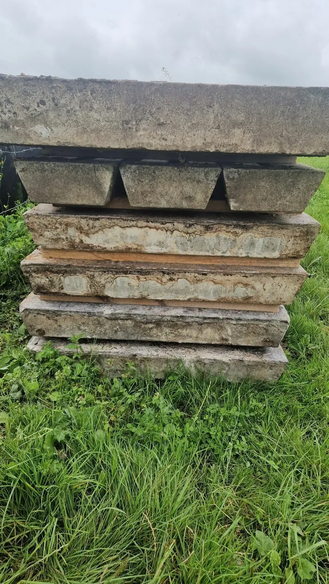 Cattle Gang Slats - Image 3