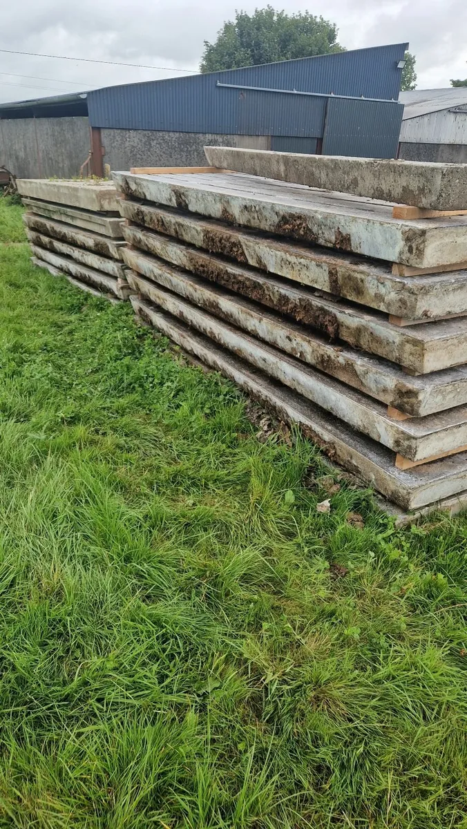 Cattle Gang Slats - Image 1