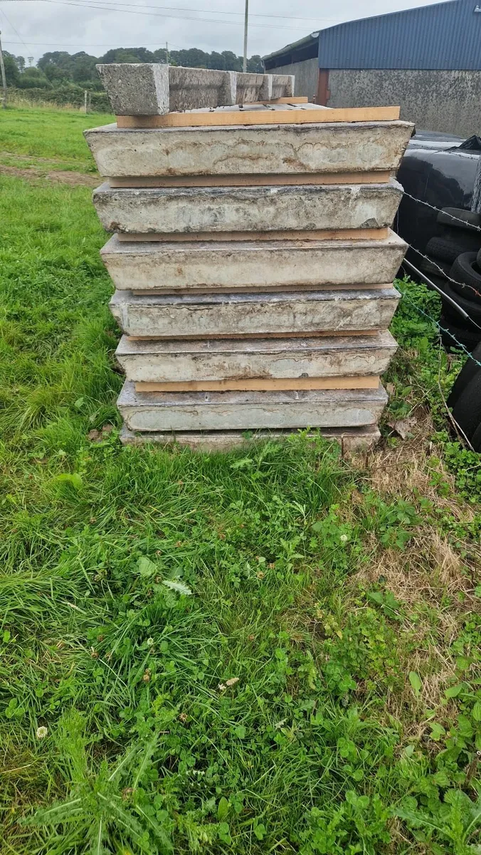 Cattle Gang Slats - Image 4