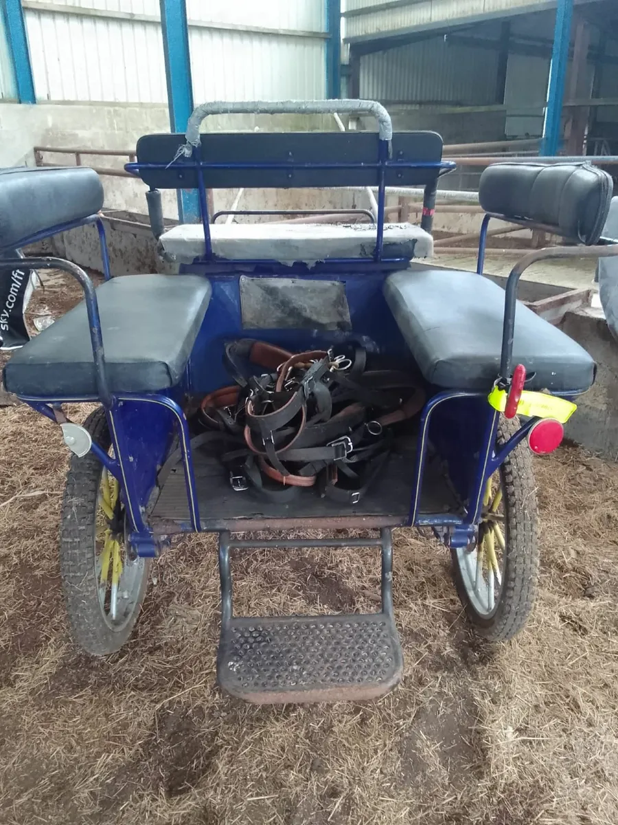 4 wheel Pony Cart - Image 2