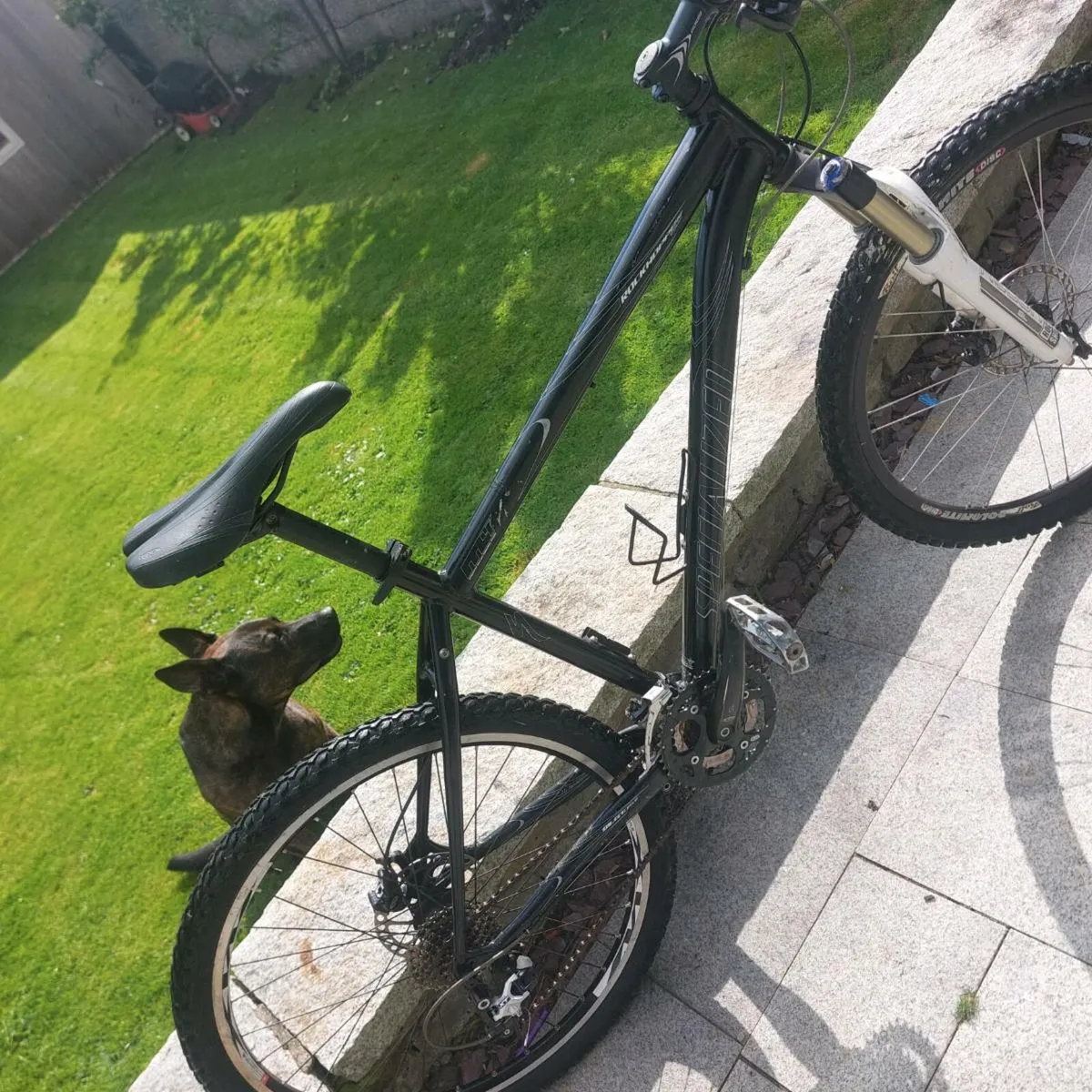 Specialized mtb - Image 4
