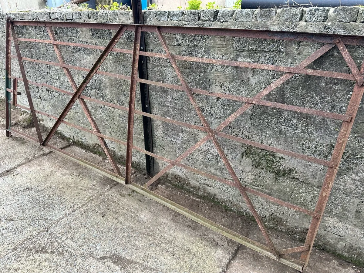 Wrought iron farm and garden gates - Image 1