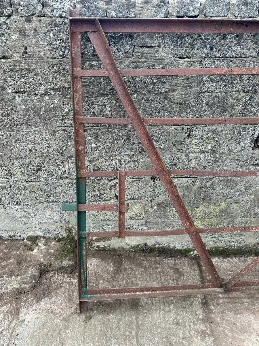 Wrought iron farm and garden gates - Image 2
