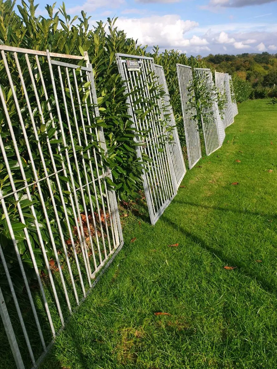Dog pen - Image 2