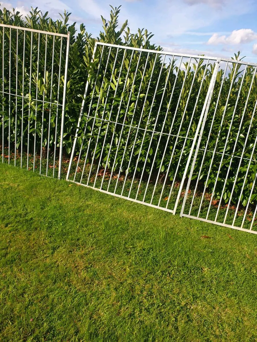 Dog pen - Image 4