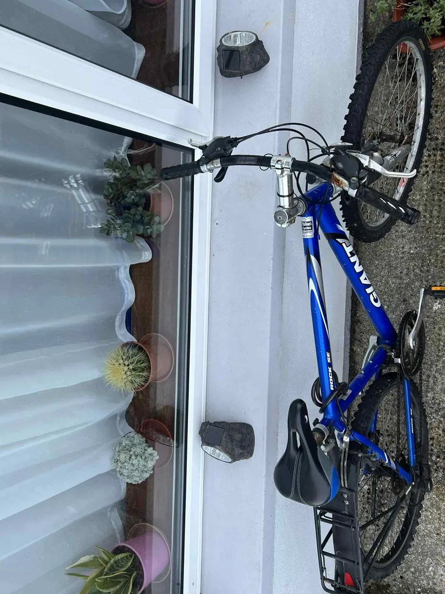 Bike - Image 2