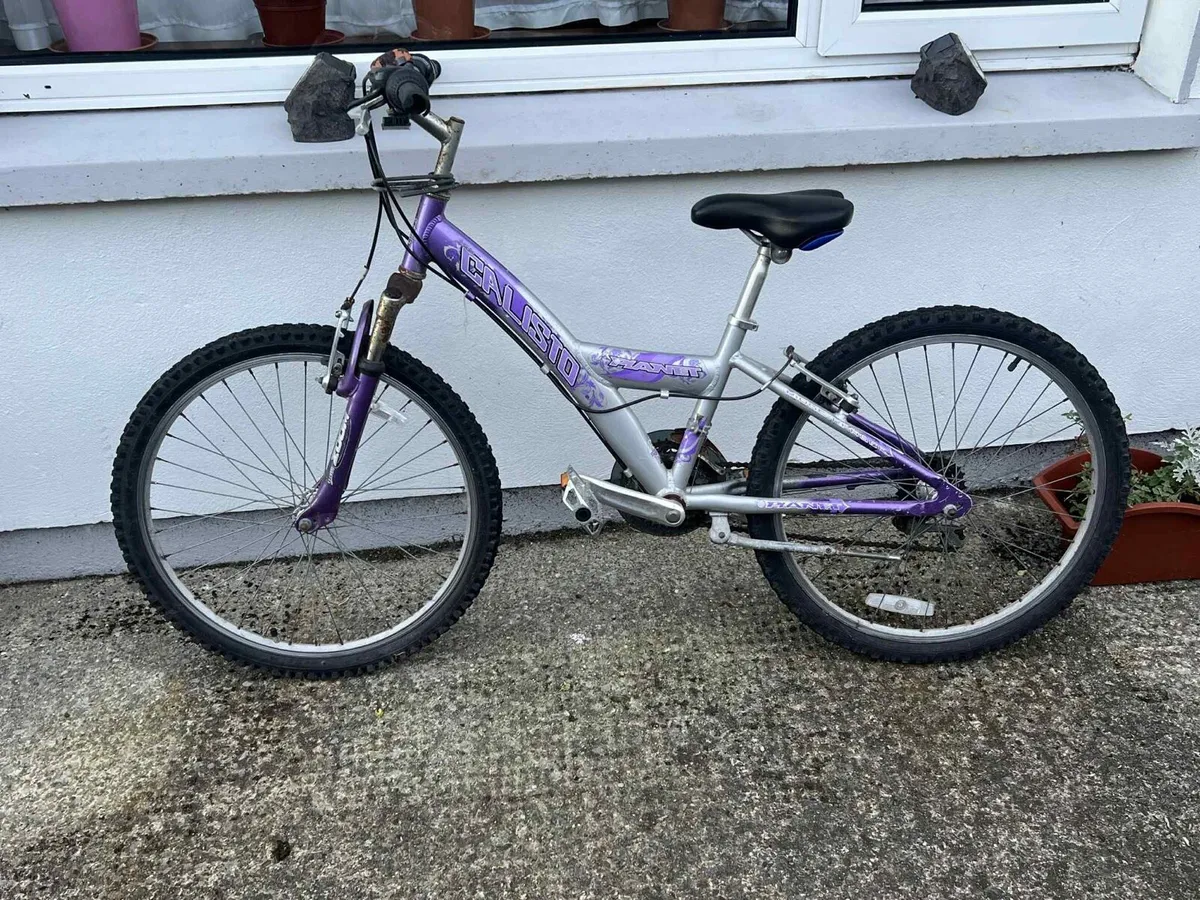 Bike - Image 1