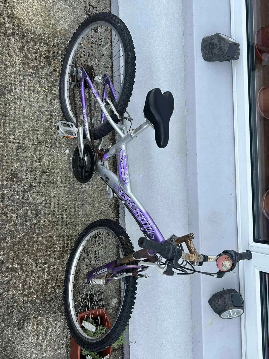 Bike - Image 2