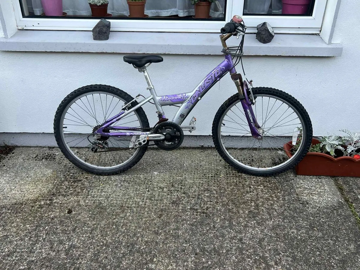 Bike - Image 3