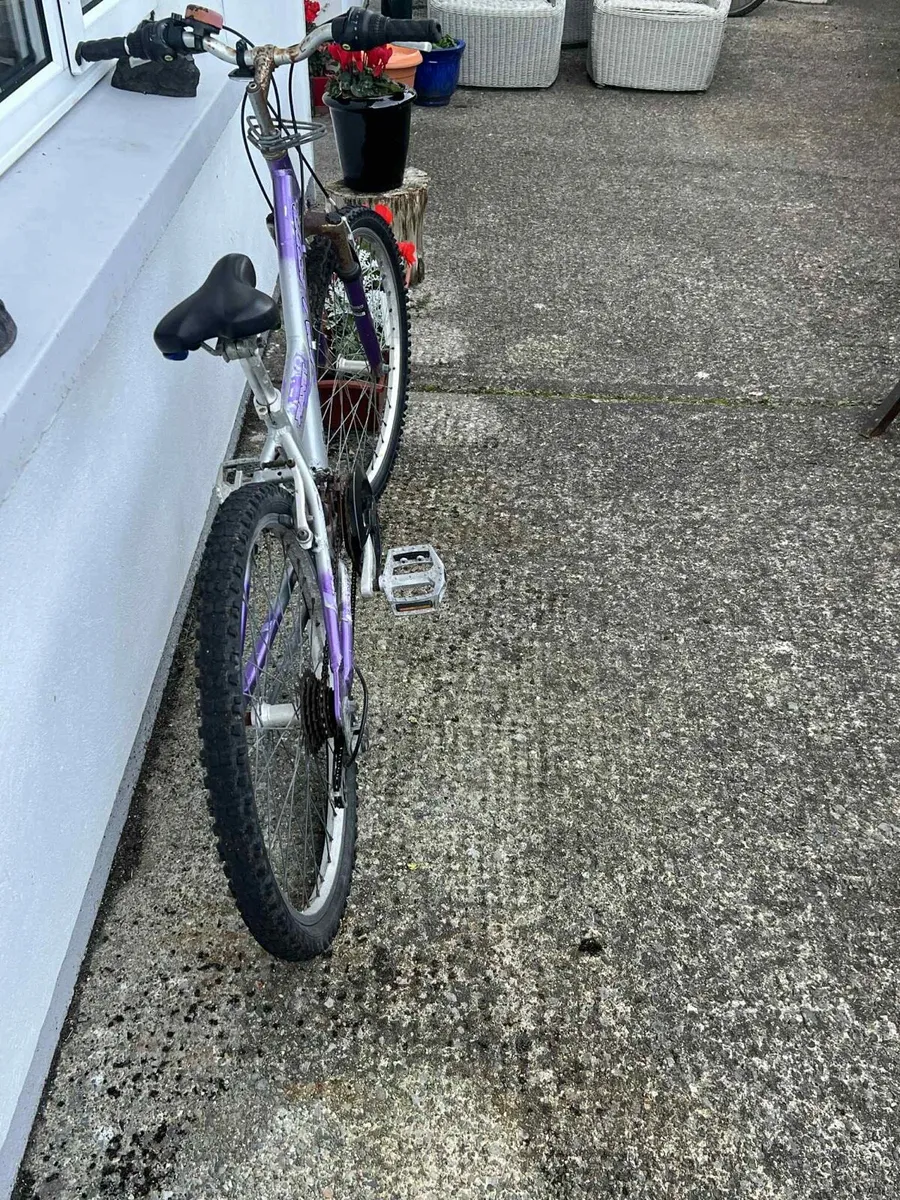 Bike - Image 4