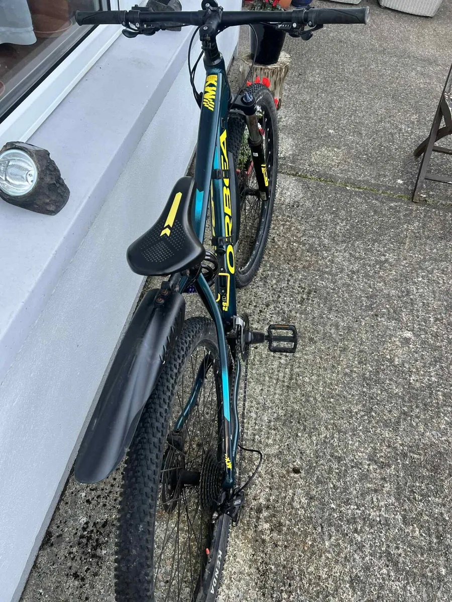 Mountain bike - Image 1