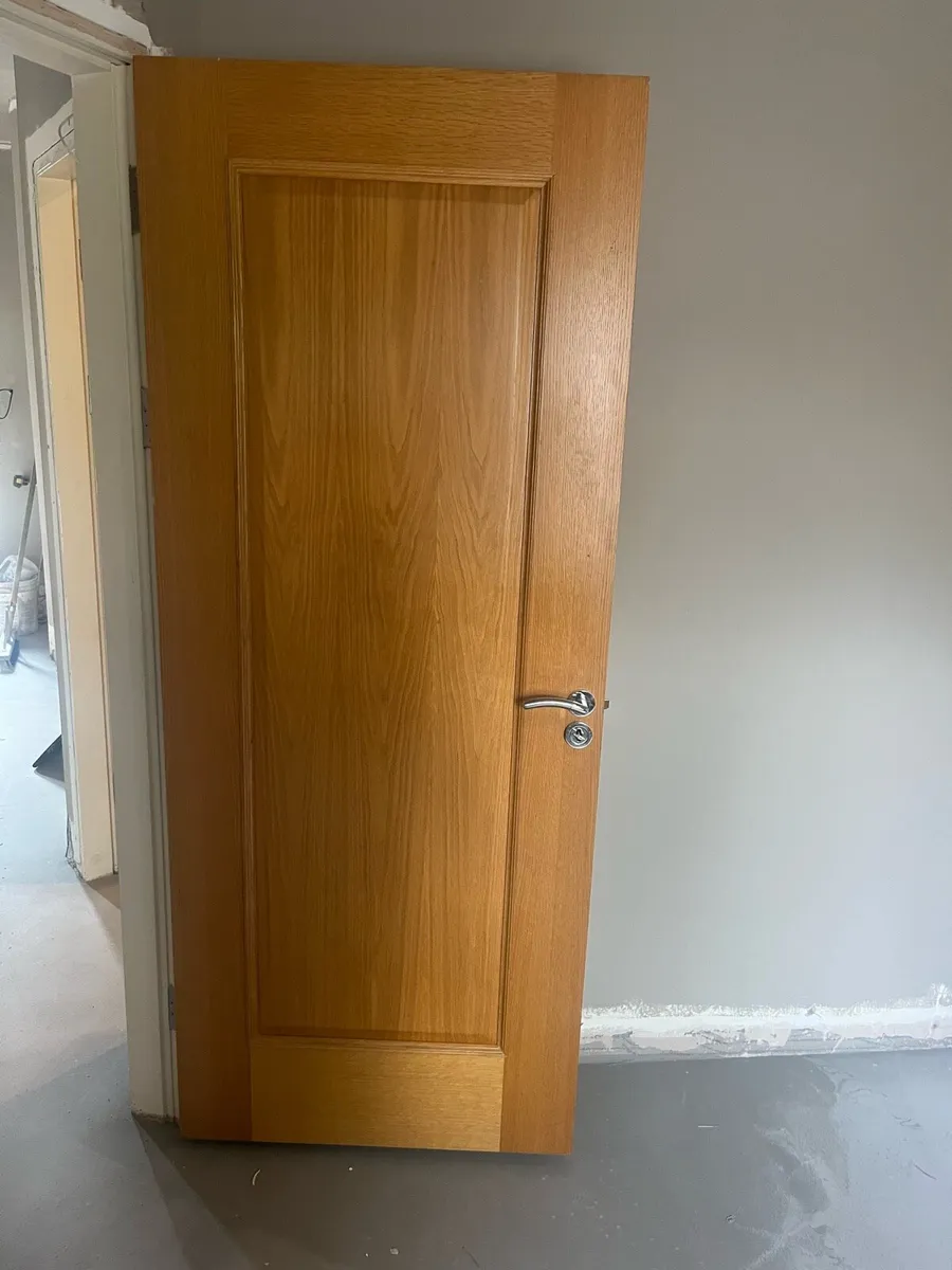 Internal doors - Image 1
